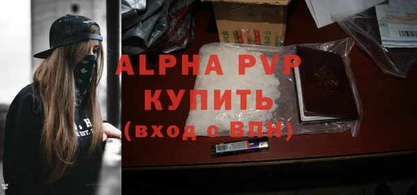 ГАЛЛЮЦИНОГЕННЫЕ ГРИБЫ Щучье