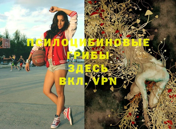 бошки Нея