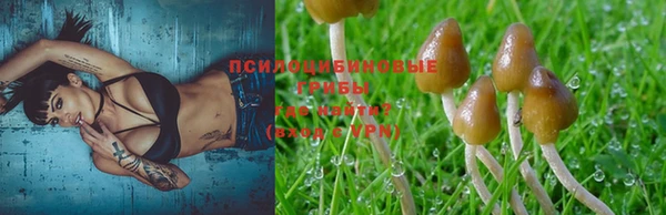 бошки Нея