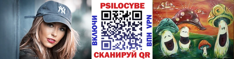 Псилоцибиновые грибы Cubensis  Усмань 
