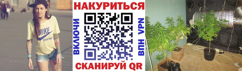 хочу наркоту  Усмань  Бошки Шишки THC 21% 